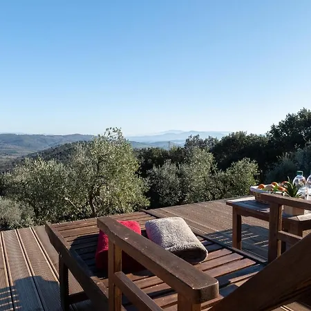 Ginestra A 
