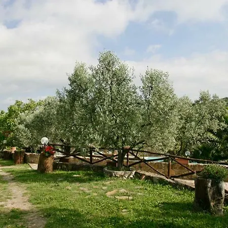 Ginestra A 