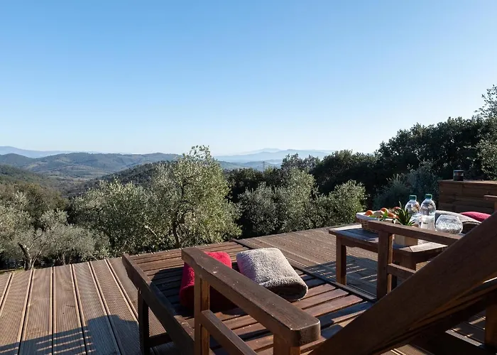 Ginestra A Casa Conti Di Sotto
