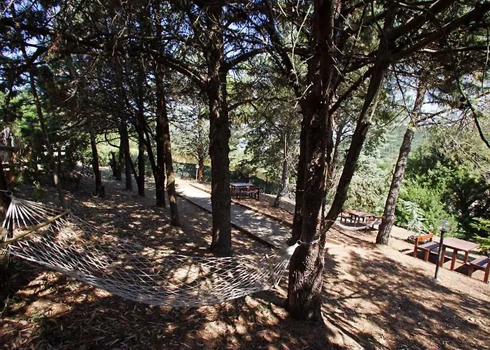 Ginestra A Casa Conti Di Sotto Casa vacanze