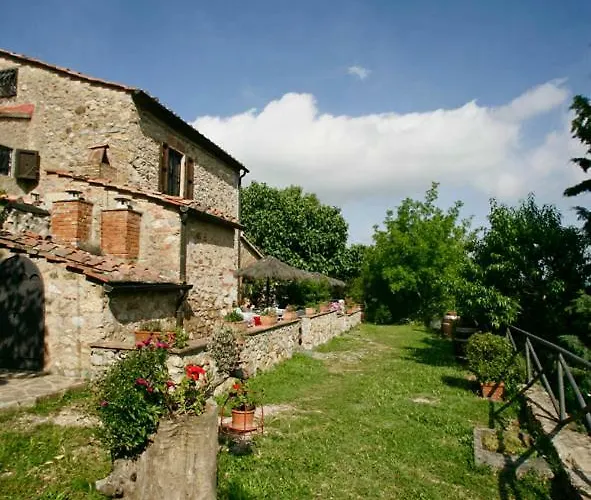 Ginestra A Casa Conti Di Sotto *