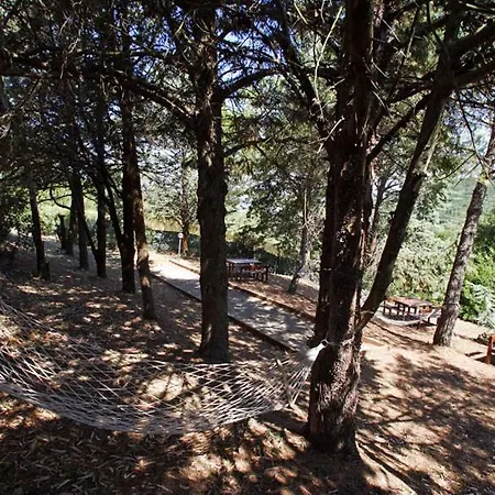 Ginestra A 