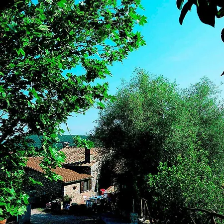 Ginestra A 