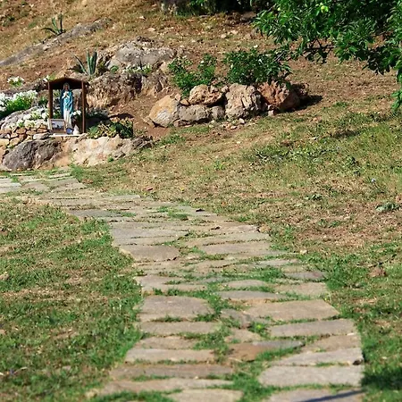 Ginestra A 