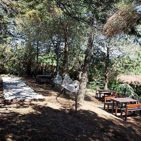 Holiday home Ginestra A 