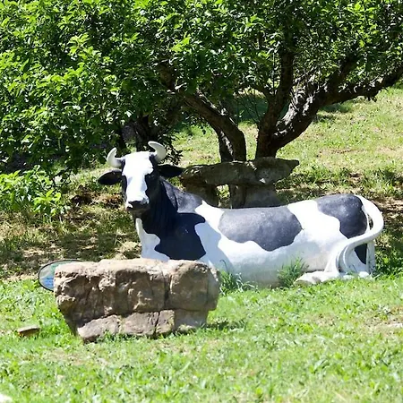 Holiday home Ginestra A 