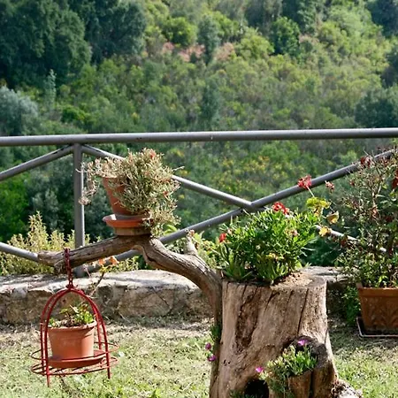 Ginestra A 